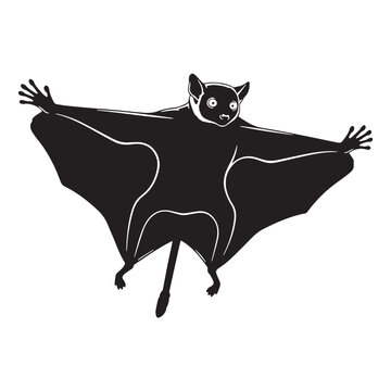 Black Sunda flying lemur Silhouette Vector, High Quality Illustration on White Background