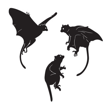 Black Sunda flying lemur Silhouette Vector, High Quality Illustration on White Background