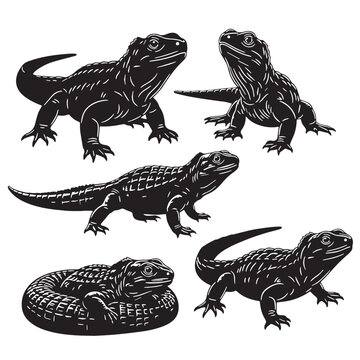 Black Tuatara Silhouette Vector, High Quality Illustration on White Background
