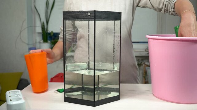 A person is cleaning a fish tank filled with water and plants, using a fish net to catch debris. Nearby, a pink bucket is ready for water changes, and sunlight fills the room.