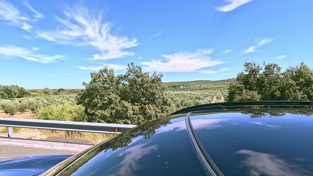 View from the roof of a car traveling along a road bordered by a beautiful large olive grove to the horizon, with reflections on the roof under a clear blue sky