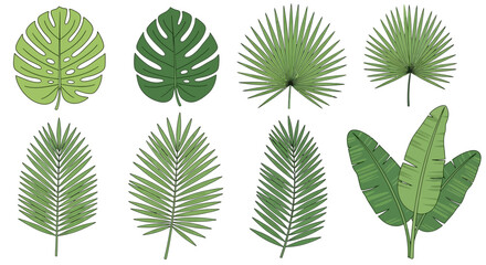 Tropical leaves in various shapes. © Ambrol