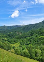 Fototapeta premium Scenic summer mountain valley with lush green forests and blue sky
