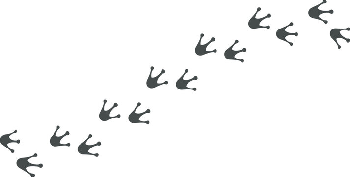 Symmetric Frog or Toad Footprints Trail on White Background
