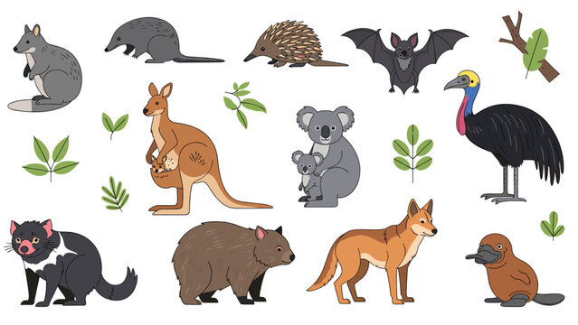 Illustration set of unique Australian animals including a kangaroo, koala, wombat, platypus, dingo, and cassowary in a natural theme.