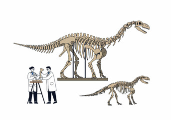 Illustration of Paleontologists Working with Dinosaur Fossils and Skeletons in a Laboratory or Museum Setting © Sabrina
