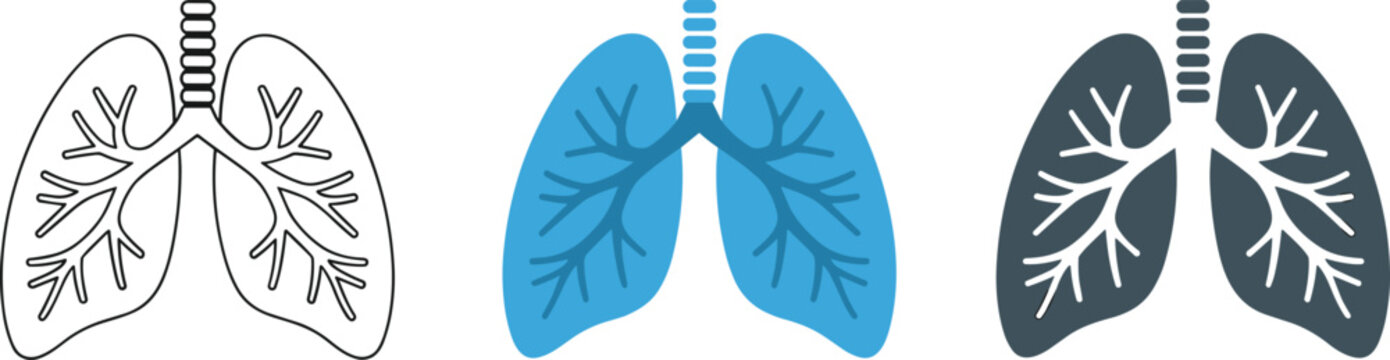 Comprehensive data visualization icon set featuring bar charts line graphs pie charts and analytics diagrams for business reporting and dashboard UI design