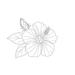 Obraz premium Silhouette Of A Flower With Leaves On A White Background silhouette