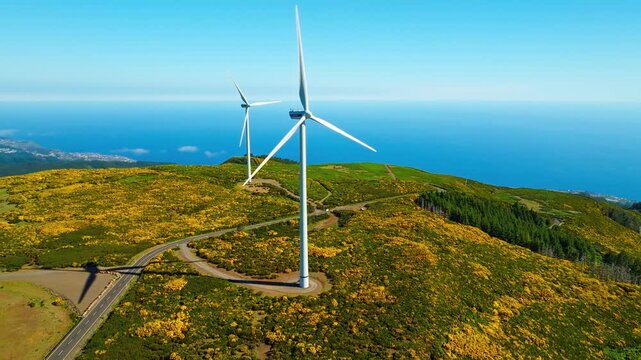 Green renewable alternative energy in Portugal - wind generator turbines among Cytisus flower shrubs generating electricity wind farm on Madeira island, Portugal. Tracking slider shot