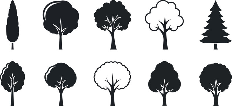 Collection of ten stylized tree in black and white tree silhouette nature plant deciduous tree