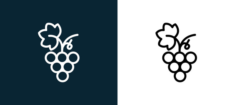 Two-color grapes outline icon pair in black and white, editable stroke vector illustration for web, mobile apps, UI design, branding, and print from seasons