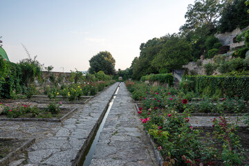 Fototapeta premium Amazing view of Botanical Garden in town of Balchik, Dobrich region, Bulgaria