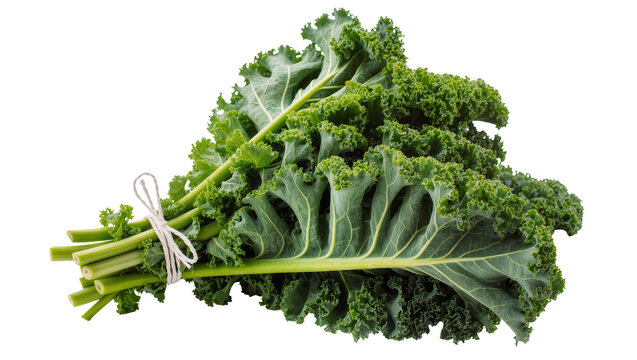 Fresh green kale leaves tied with white twine, isolated on transparent background