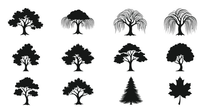 Twelve black silhouette of various trees and a maple leaf on a white background black and white deciduous tree