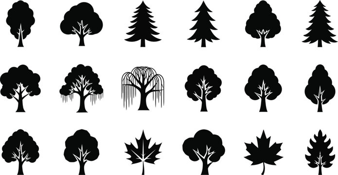 Collection of black tree and leaf silhouette on white background maple leaf pine tree