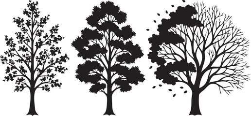 Obraz premium Seasonal tree silhouettes in a row