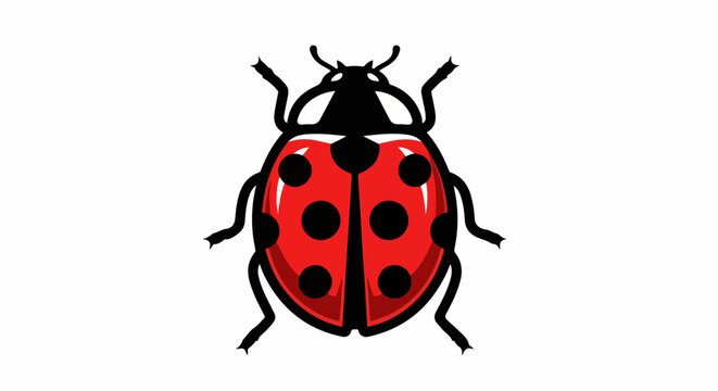 Ladybug, red insect, black spots, vector illustration, bug, lady beetle, isolated