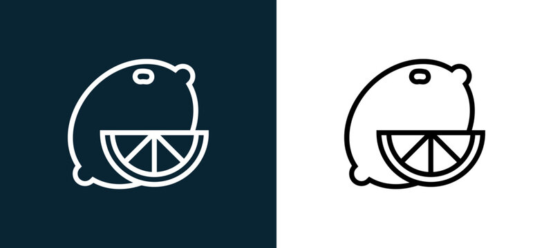 Two-color lemon outline icon pair in black and white, editable stroke vector illustration for web, mobile apps, UI design, branding, and print from gastronomy
