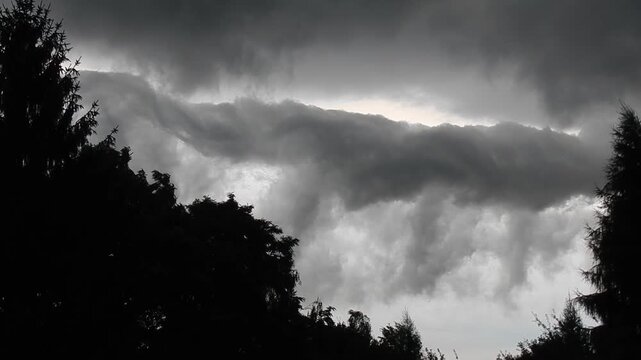 Dark rotating cloud Stratocumulus Volutus and trees moved by strong wind - natural weather scene. Topics: storm, cloudscape, meteorology, nature, air space, cloud types, altitude, atmosphere, season