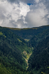 Obraz premium A breathtaking view of towering mountains enveloped in lush greenery, under a dramatic sky filled with clouds. The picturesque scene captures the serene beauty of Georgia’s natural landscape, offering