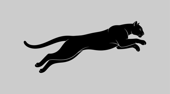 silhouette of a cat