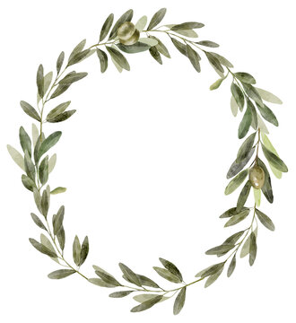 Watercolor olive wreath with elegant wreath. Botanical frame looks soft and timeless and ideal for invitations or logos.