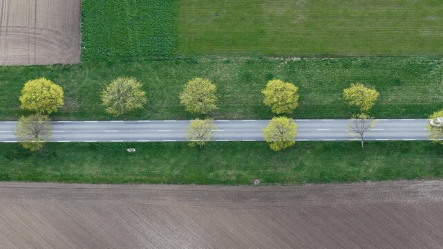 Aerial view of a silver car driving along a straight road lined with trees, contrasting with the green fields and brown plowed earth, Neuf-Brisach, Grand Est, France.