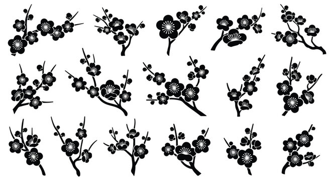 Collection of delicate black cherry blossom branches with blooming flowers on a white background, elegant floral