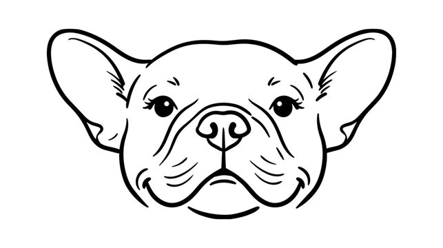 French bulldog portrait: minimalist hand-drawn dog head sketch with bold linework on white background