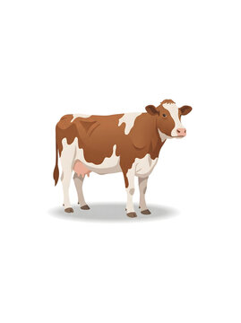 Vibrant vector illustration featuring a beautiful brown and white dairy cow standing gracefully, showcasing farm life and livestock themes for various agricultural designs