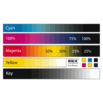 CMYK Color Calibration Gradient Swatch Chart Vector Template