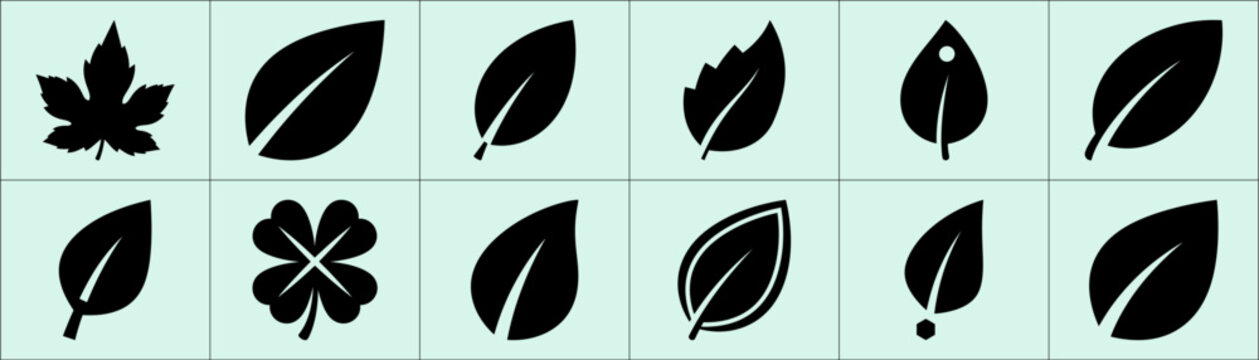 Twelve black leaf silhouettes in two rows of six on light mint green