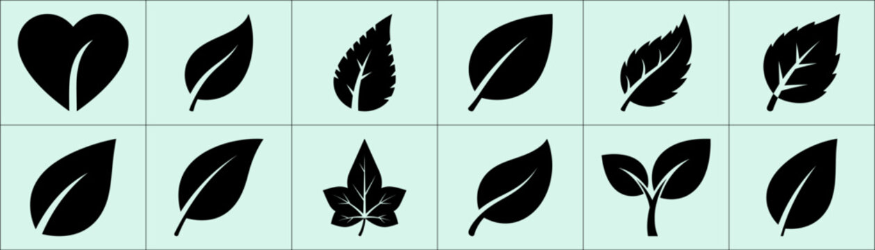 Twelve black leaf and heart silhouettes in 3x4 mint green squares