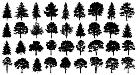 Trees silhouette set with various shapes and sizes on white background featuring tree, silhouettes, black with graphic and graphics elements for © Sijar