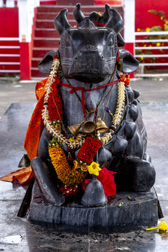 Maheswarnath Mandir hindu temple, Triolet, MauritiusNandi bull murthi with garland offerings
