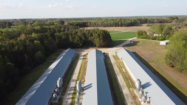 poultry farm in spring hope north carolina