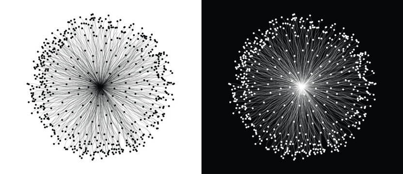 Symmetric dense radial burst of curved lines with prominent dot tips from glowing center on white and black backgrounds. Monochrome vector illustration for neuron, AI, data network and science concept