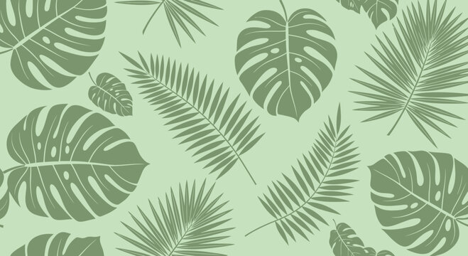 Tropical green palm leaves, monstera deliciosa, leafy foliage, botanical pattern, seamless background