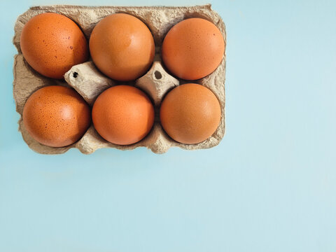 Top view of six organic brown chicken eggs in a cardboard carton box on a light blue background with large copy space for Easter, poultry farming and agriculture, egg industry