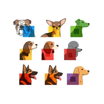 Diverse Dog Breeds Collection: Bulldog, Chihuahua, Poodle, Beagle, German Shepherd, Golden Retriever
