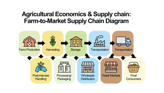 Farm to market supply chain diagram illustrating agricultural economics