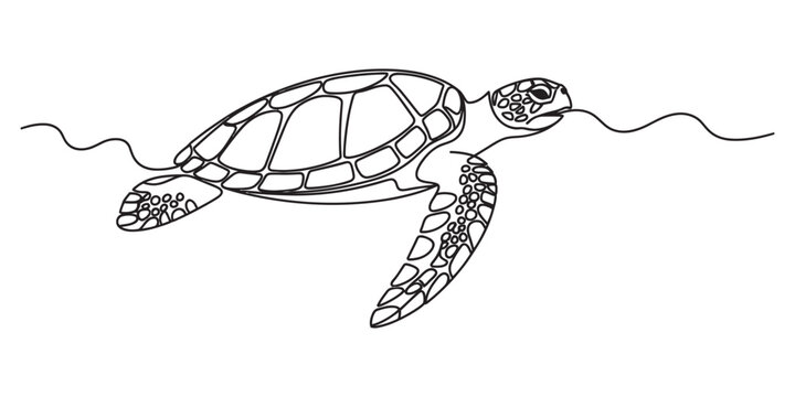 A single continuous line drawing of a sea turtle swimming gracefully through the ocean waters. Vector, illustration