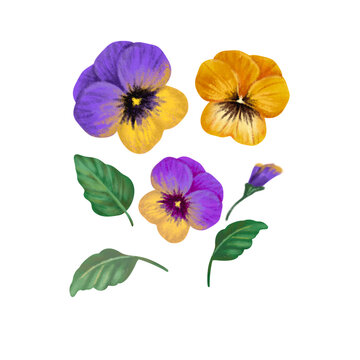 bouquet of flowers isolated on white