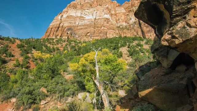 wide-angle shot capturing the vibrant landscape along the moderately challenging Watchman Trail in Zion National Park, Utah. The footage showcases the majestic, towering sandstone cliffs, including th