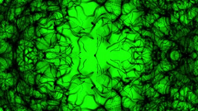 Abstract Green Ink Flow Spreading from Sides to Center Symmetrical Organic Motion Loop