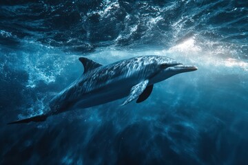 Fototapeta premium Intelligent dolphin underwater in clear blue sea