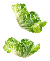 Fototapeta premium PNG Leaving 3 green lettuce leaves vegetable produce food.