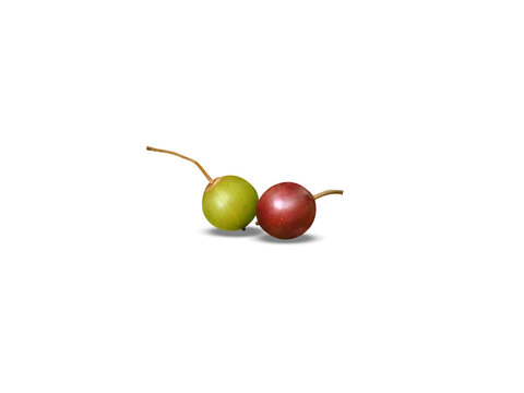 Flacourtia indica or Governors plum fruits isolated on a white background