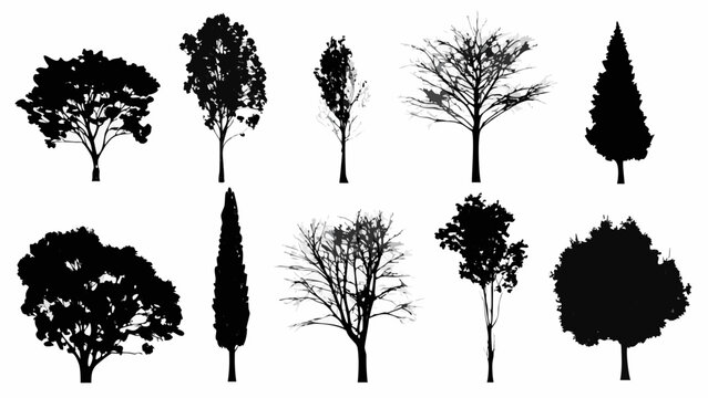 Collection of silhouetted trees in various shapes and sizes