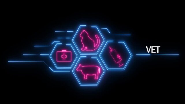 Neon veterinary for vet services including cat cow medical kit and syringe connected by blue glowing lines on a black background with the word VET